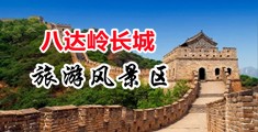 免费看骚视屏中国北京-八达岭长城旅游风景区